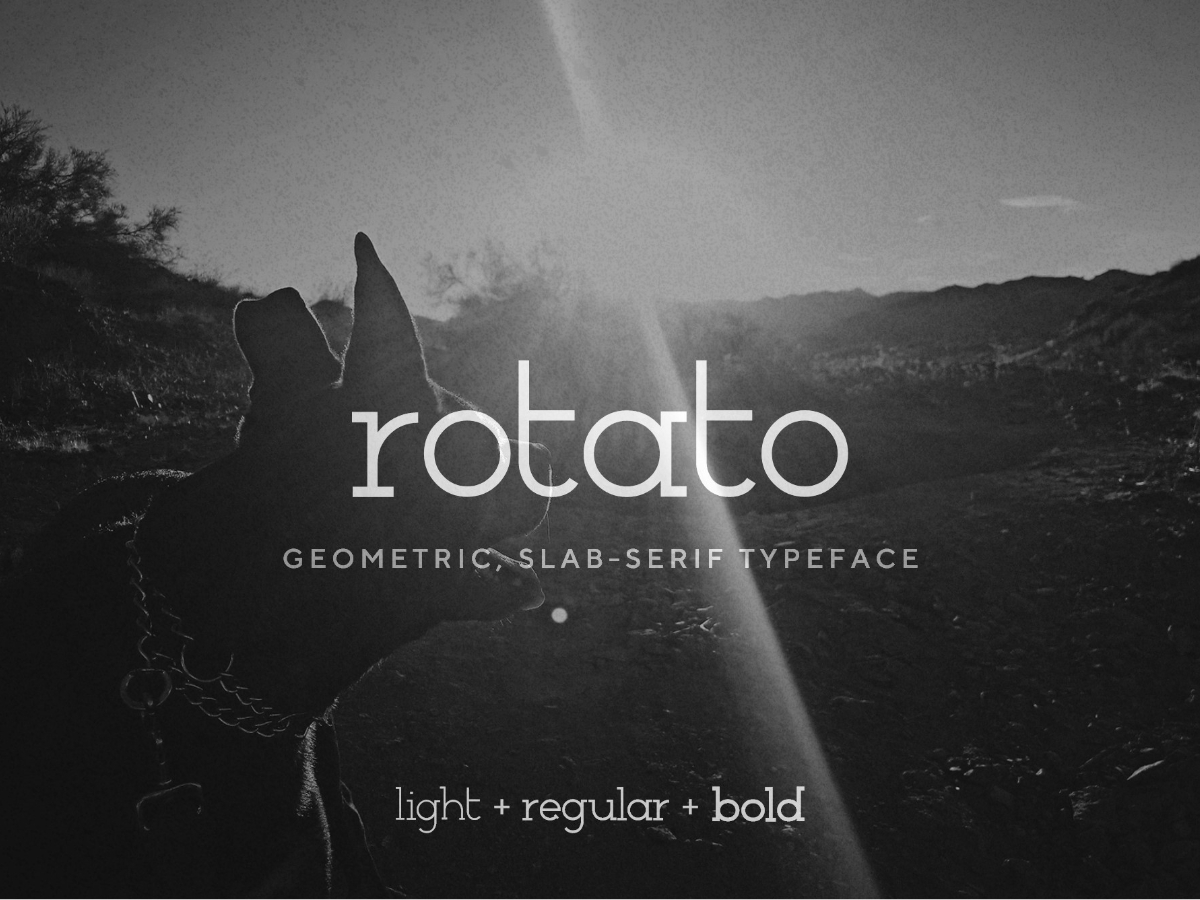 Rotato - a modern, geometric slab-serif font | VIP Graphics