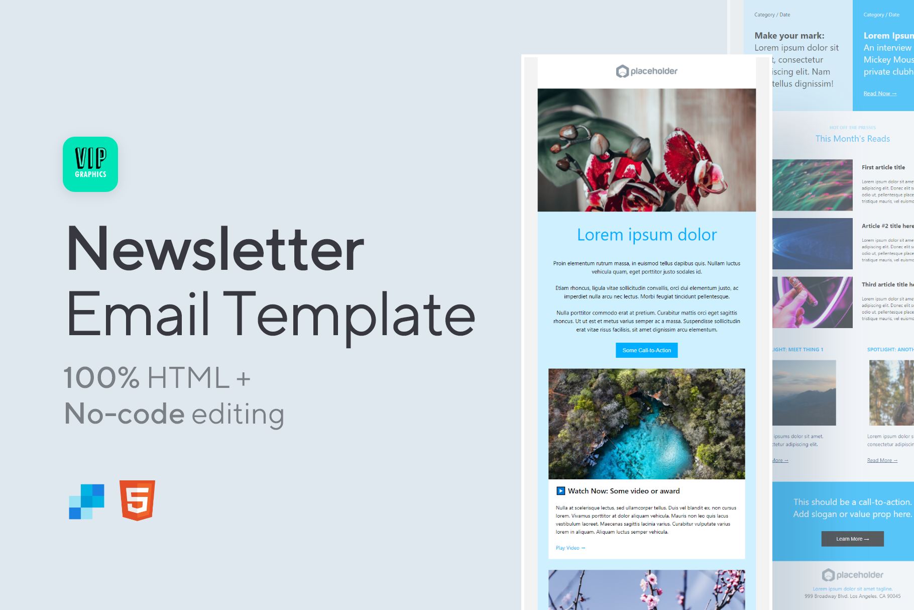 No code Newsletter Email Template VIP Graphics