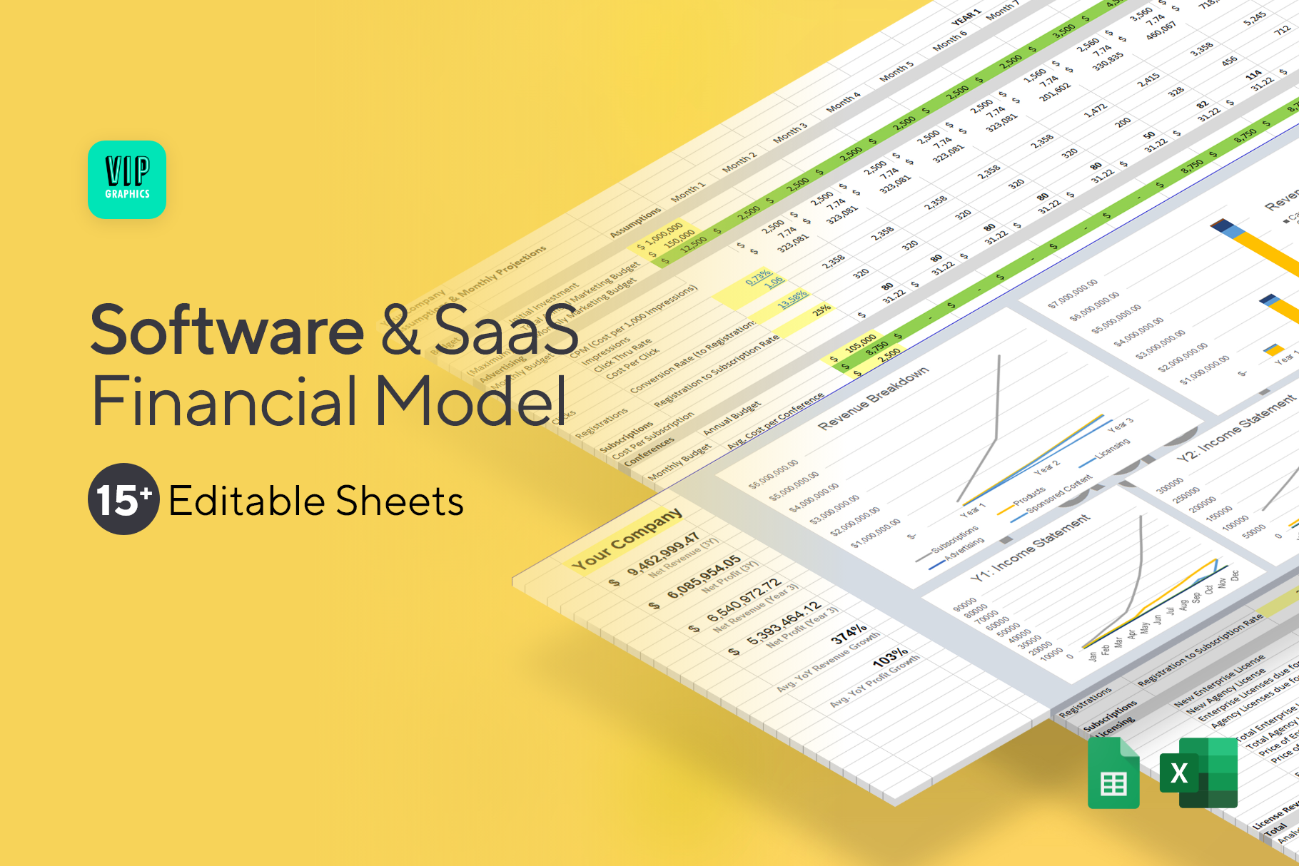 SaaS Software Financial Model Template VIP Graphics