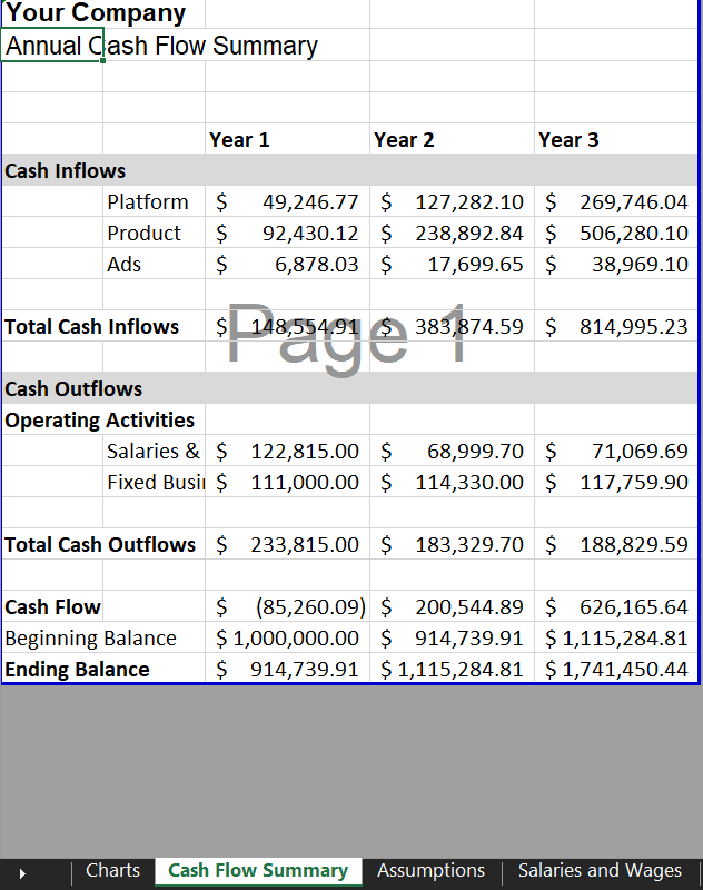 Cash Flow Summary - Marketplace Financial Model Template | VIP.graphics