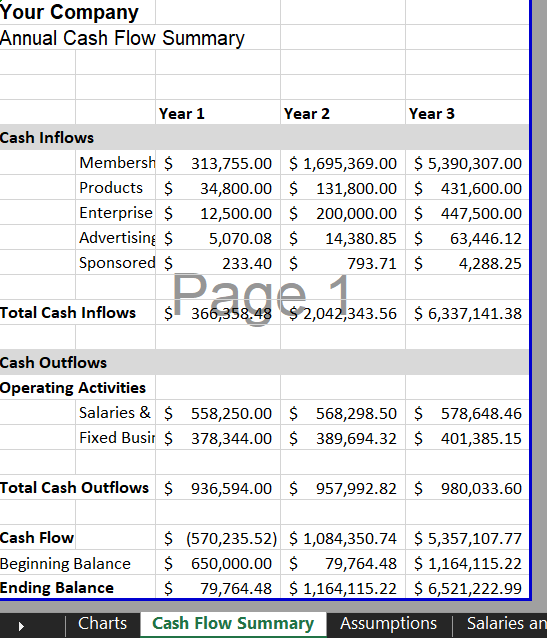 Cash Flow Summary - Memberships Subscription Financial Model Template | VIP.graphics