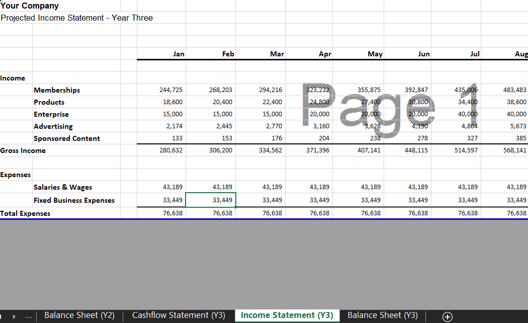 Annual Income Statement - Memberships Subscription Financial Model Template for Excel & Google Sheets | VIP.graphics