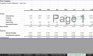 Annual Income Statement - Software SaaS Financial Model Template for Excel & Google Sheets | VIP.graphics