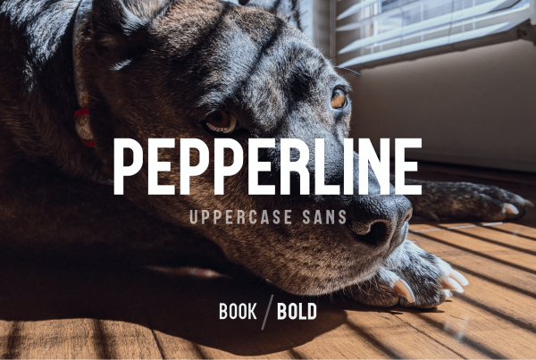 Pepperline — uppercase, condensed sans-serif font