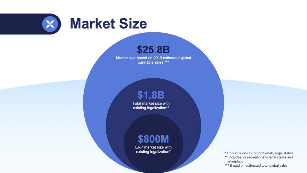 Canix (Cannabis Software) Pitch Deck: Market Size Slide — best pitch deck examples - $25M Seed | VIP Graphics