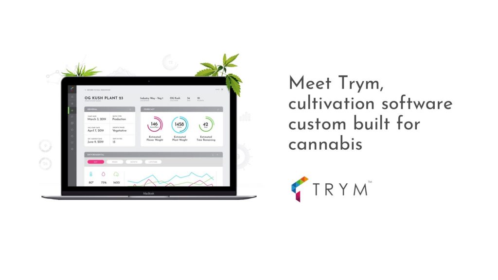 Trym Pitch Deck - Solution Slide: best pitch deck examples - $3.1M for cannabis software | VIP Graphics