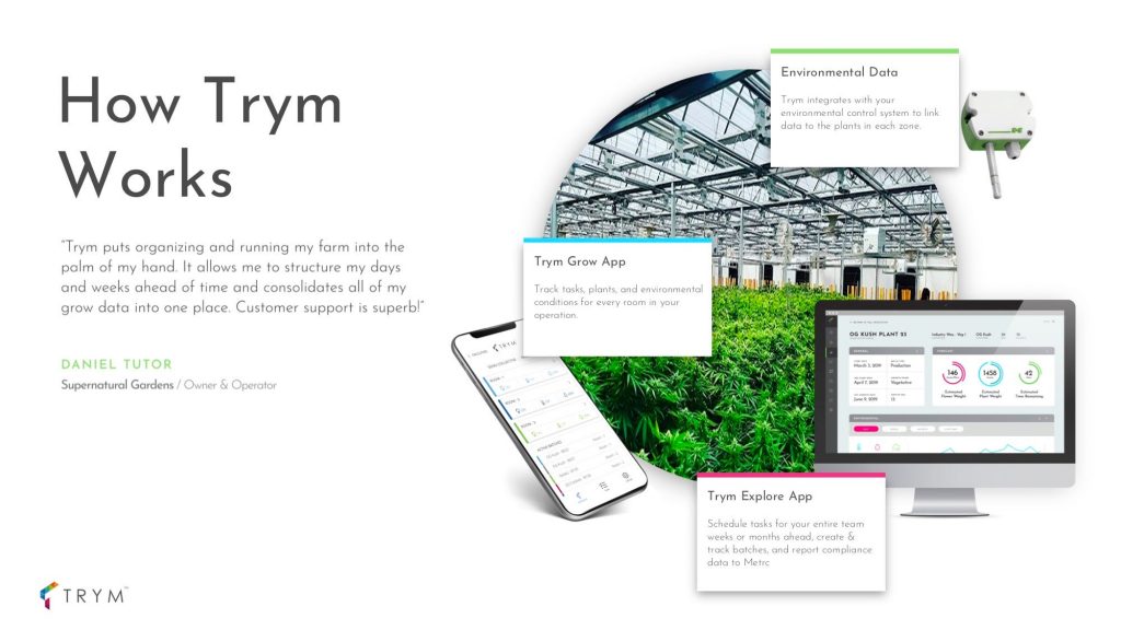 Trym Pitch Deck - How It Works Slide: best pitch deck examples - $3.1M for cannabis software | VIP Graphics