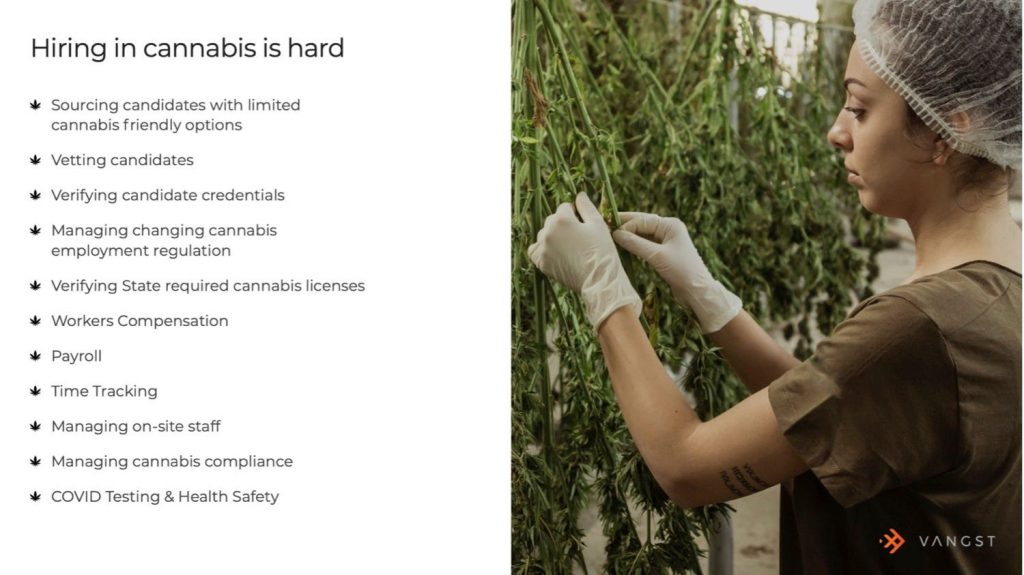 Vangst Pitch Deck - Problem Slide: best pitch deck examples - $19M for cannabis platform | VIP Graphics
