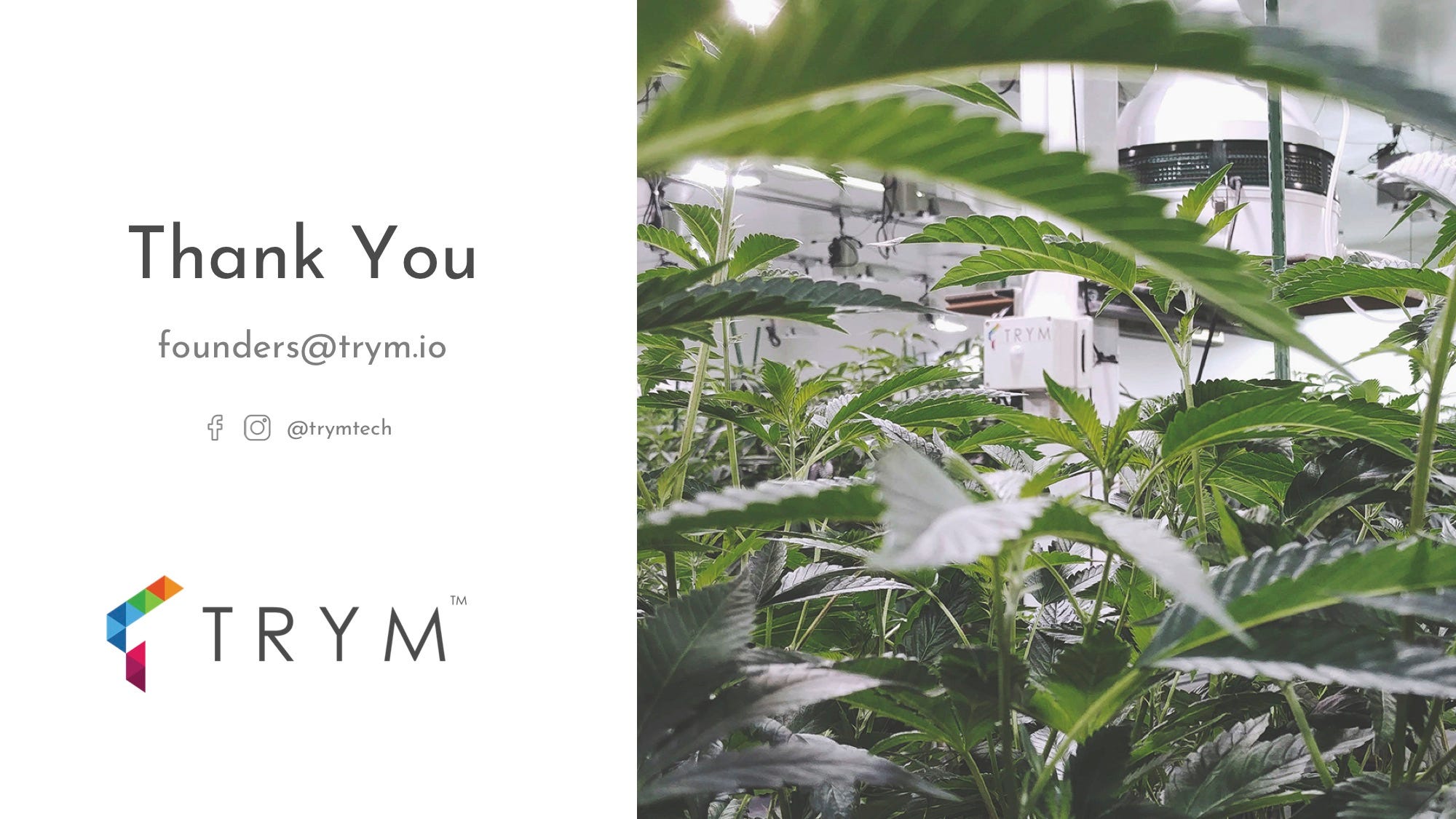 Trym Pitch Deck - Contact Slide: best pitch deck examples - $3.1M for cannabis software | VIP Graphics
