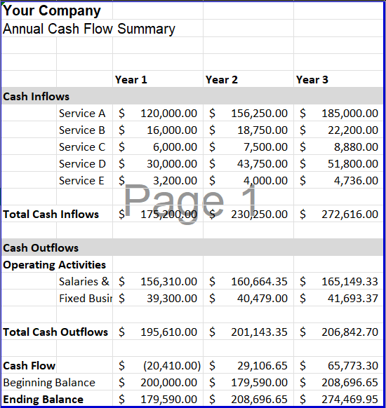 Cash Flow Summary - Professional Services Financial Model Template | VIP.graphics