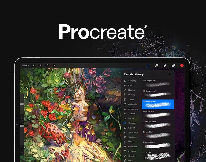Best Procreate Brushes, Stamps & more