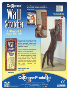 cat dancer wall scratcher