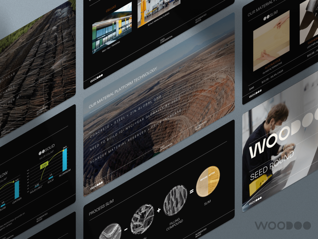 Woodoo Seed Investor Presentation: best pitch deck examples - $31M for climate tech startup | VIP Graphics