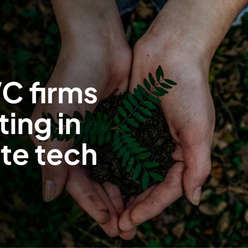 Top 10 Climate Tech Investors & VC Firms